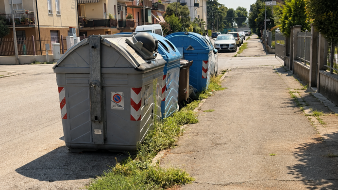 Degrado nei quartieri di Vicenza: erbacce e manutenzione Degrado nei quartieri di Vicenza con erbacce lungo il marciapiede