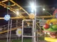 Festa dei Oto, da domani torna il Luna Park a Campo Marzo festa dei oto luna park vicenza
