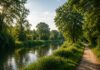 Alla scoperta del Fiume Astichello, domani a Dueville una giornata dedicata all’acqua e alla sua tutela astichello