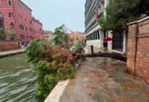 Maltempo in Veneto, 50 interventi dei vigili del fuoco: provincie più colpite Rovigo, Padova e Venezia maltempo veneto 21 agosto 2026