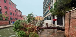 Maltempo in Veneto, 50 interventi dei vigili del fuoco: provincie più colpite Rovigo, Padova e Venezia maltempo veneto 21 agosto 2026