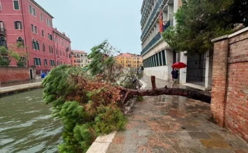 Maltempo in Veneto, 50 interventi dei vigili del fuoco: provincie più colpite Rovigo, Padova e Venezia maltempo veneto 21 agosto 2026