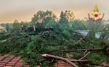 Maltempo in Veneto, Stefani dichiara lo stato di emergenza regionale dopo i danni Maltempo in Veneto, alberi abbattuti e danni