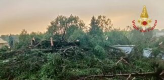 Maltempo in Veneto: 110 interventi dei vigili del fuoco. Nel Vicentino pioggia e grandine maltempo veneto veronese