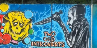 Quei “Muri liberi” a volte fanno paura… Fratelli d’Italia Vicenza chiede regole sulla street art muri liberi vicenza murales in via Strasburgo.