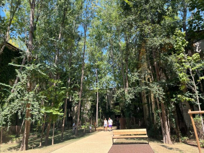 Vicenza e caldo, oasi climatica al Giardino di San Biagio