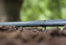 Siccità, il Nord in ginocchio: in Veneto sempre più frequente ricorso all’irrigazione. Pesa assenza invasi siccità veneto