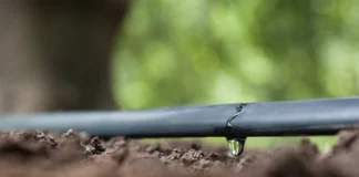 Siccità Veneto: Anbi chiede invasi, Regione: “C’è piano” siccità veneto