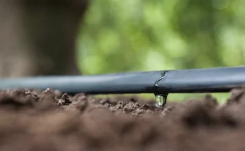 Siccità, il Nord in ginocchio: in Veneto sempre più frequente ricorso all’irrigazione. Pesa assenza invasi siccità veneto