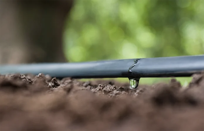 siccità irrigazione siccità veneto
