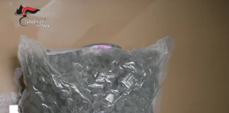 Vicenza, preso con mezzo chilo di marijuana: un arresto e due denunce dopo tentativo di fuga vicenza marijuana