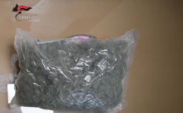 Vicenza, preso con mezzo chilo di marijuana: un arresto e due denunce dopo tentativo di fuga vicenza marijuana