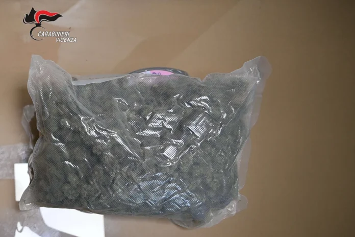 vicenza marijuana