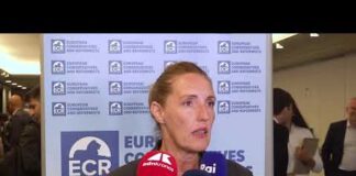 Acciaio: Donazzan (FdI), “Regole europee tropo difficili. Serve invece difendere nostre imprese”