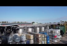 Ambiente, i cantieri della transizione ecologica in provincia di Bologna