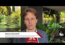 Attrv-Pn, Ceccanti (La Sapienza): “In Italia circa 6 casi per milione di persone”