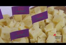 Autogrill presenta ‘Piacenza 1714’, il panino di ‘Origini Edition’ che celebra i prodotti Dop e Igp