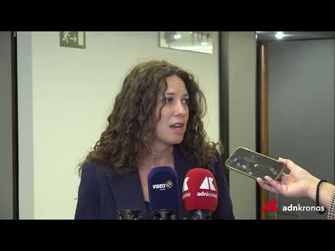 Automotive: Sberna (FdI), “Richieste e istanze del territorio portate alle istituzioni Ue”