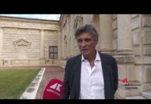 Baia Curioni (Fondazione Palazzo Te): “Con ‘Inventare la natura’ invogliamo a guardare il mondo con