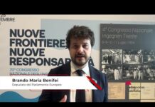 Benifei (Pd): “Ai venga regolata e sia prevista formazione specifica”
