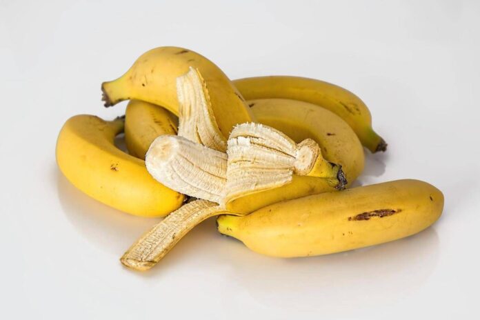 Buccia di banana frullata in acqua, la ‘ricetta’ per curare le piante