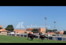 Capannelle, ripartono le corse dei cavalli allo storico ippodromo romano