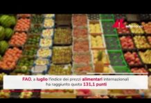 Carrello della spesa, di quanto è aumentato
