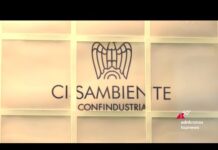 Cisambiente Confindustria, dieci anni di una filiera strategica per l’economia del paese