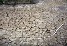 Clima, allarme Onu: “Terra in zona pericolo. El Niño sta assumendo proporzioni enormi”