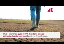 Clima, lo studio: entro fine secolo 40% terre emerse può diventare zona arida