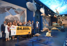Dalla spesa alla solidarietà: Alì sfiora 1,7 milioni di euro donati in sei anni, altri 84.859 euro a sei realtà Alì per il Sociale