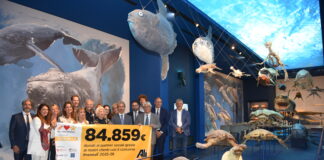 Dalla spesa alla solidarietà: Alì sfiora 1,7 milioni di euro donati in sei anni, altri 84.859 euro a sei realtà Alì per il Sociale