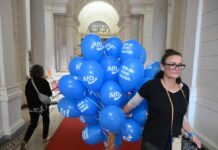 Elezioni Germania, exit poll: AfD avanti in Meclemburgo e Die Linke a Berlino. Cdu crolla