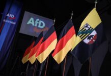 Elezioni in Sassonia, exit poll: Afd trionfa con 44,5% dei voti