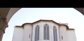 Fondazione Terna e il progetto “Custodire San Francesco”