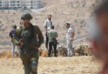 Gb, Francia e Canada sanzionano i coloni israeliani in Cisgiordania: ecco cosa esportano in Ue