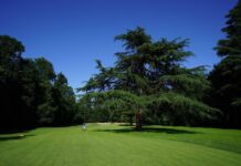 Golf, al via il Buccellati Ladies Italian Open: sul green di Monza le più grandi atlete europee