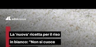 Il riso in bianco non va cotto con l’acqua, la sentenza degli chef