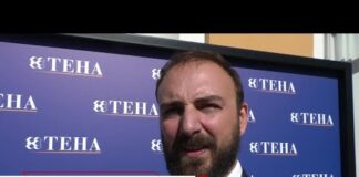 Imprese, Begnozzi (Teha): ‘per attrarre investimenti necessaria meno burocrazia’