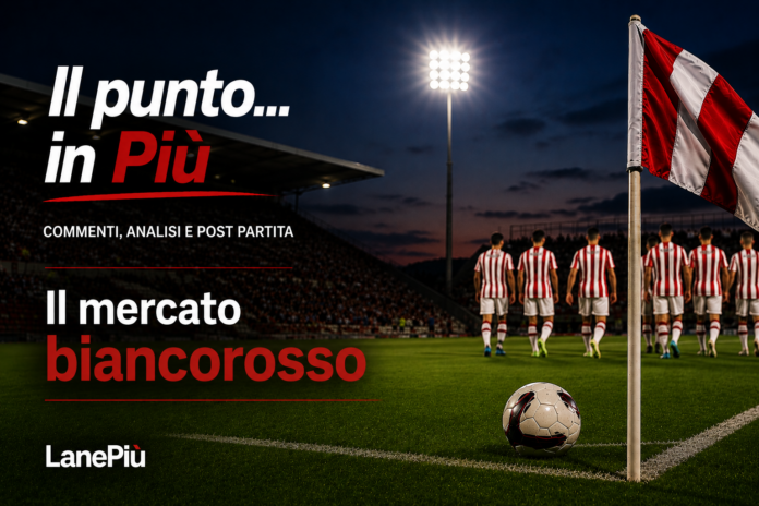 Lr Vicenza, il punto sul mercato