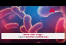 Malattia della pioggia, aumento dei casi in Europa