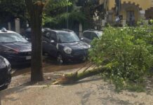 Maltempo a Roma, ramo cade fuori liceo a Coppedè: feriti 3 studenti