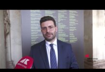 Mantova, sindaco Murari: “‘Inventare la natura’ tra le mostre più interessanti a livello