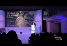 Mobilità: sostenibilità, ai e innovazione al centro di Eco – Festival della Mobilità Sostenibile e