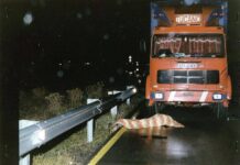 Nuovo indagato per l’omicidio Bergamini, avviso di conclusione indagini a 65enne per concorso