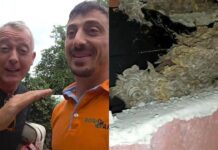 Pierluigi Diaco e Alessio Orsingher punti dalle vespe in casa, interviene il disinfestatore: “Nido enorme”