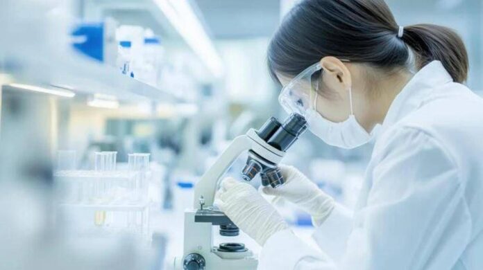Resistenza a farmaci in cancro rene e fegato, studio apre nuove vie