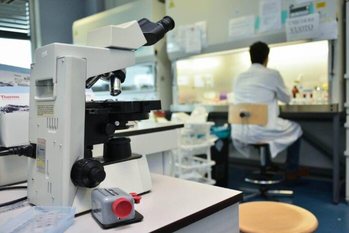 Ricerca, in Italia nel 2024 autorizzati 669 studi clinici: “Serve nuovo modello per ridefinire valore dati sanitari”