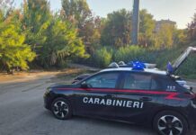 Roma, trovato cadavere in un parco di Tor Sapienza: sul corpo ferite da arma da taglio