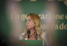 Sondaggio politico, calano Fratelli d’Italia e Futuro nazionale: le intenzioni di voto